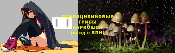 прущая мука Богданович
