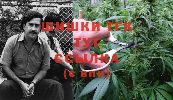 ГАЛЛЮЦИНОГЕННЫЕ ГРИБЫ Богородск