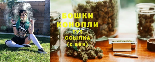 прущая мука Богданович
