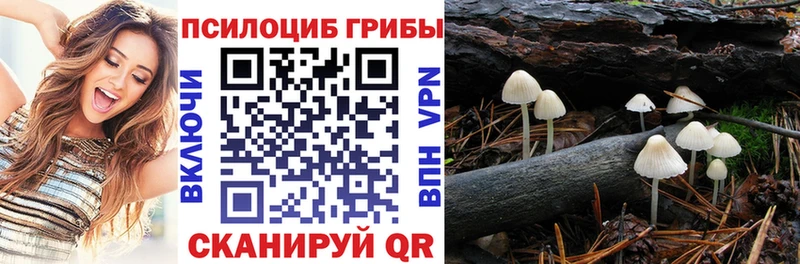 shop официальный сайт  Калининец  Псилоцибиновые грибы мухоморы 